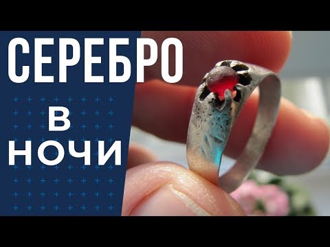 Видео: Коп монет в Воронежской области Фильм 2