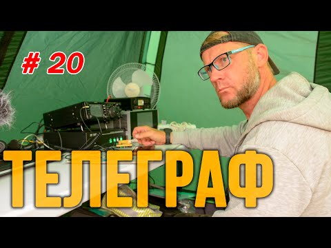 Видео: Поливаю телеграфом. Небольшая куча мала.