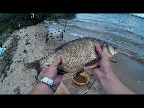 Видео: Сало vs опарыш. Рыбалка на Александровском водохранилище. Ловля леща на фидер и донки. Часть 1.