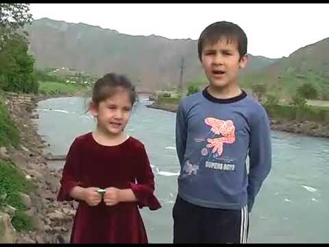 Видео: Эй тағаи светкш...Шеър аз Қ.Зарифӣ. Фирӯз Ализон.