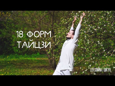 Видео: Tai Chi 18 Forms Daily / 18 форм цигун тайцзи в исполнении Лео Somna #цигун #тайцзицюань #taichi