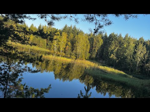 Видео: Москва - Владимир - Нижний Новгород ❤️