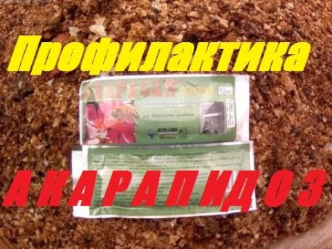 Видео: Трахейный клещ Acarapis Woodi - Акарапидоз.Невидимый враг пчел-Гибель пчел медленная и незаметная.