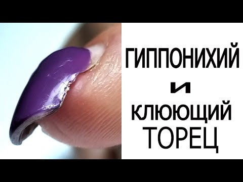 Видео: ГИППОНИХИЙ и КЛЮЮЩИЙ торец  //  @BORNPETTY