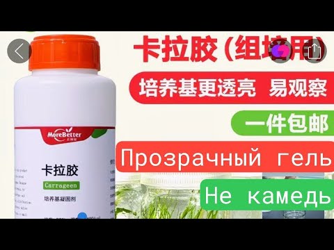 Видео: Китайский прозрачный загуститель Carrageen в замен Gellan gum
