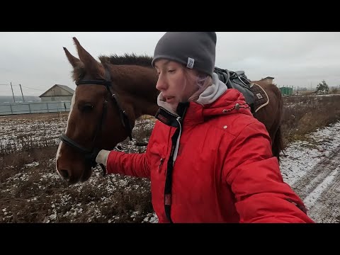 Видео: Осень в деревне / НАШЛИ СЛЕДЫ МЕДВЕДЯ В ЛЕСУ / Конная прогулка и болталка