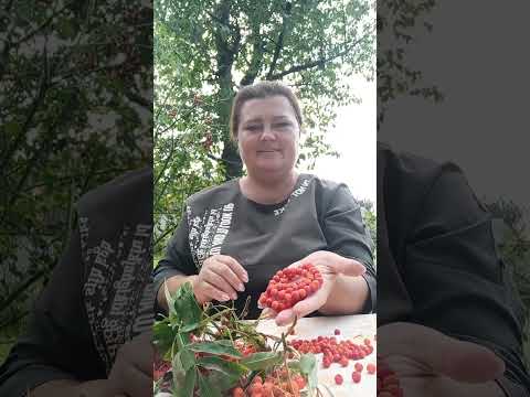 Видео: Счастливого бабьего лета!🌞