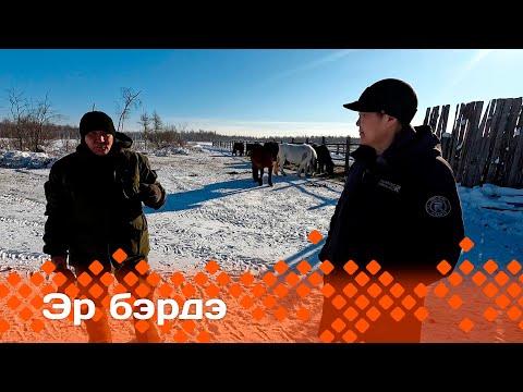 Видео: «Эр бэрдэ»: сылгыһыт Николай Сивцев (17.03.24)