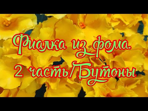 Видео: ФИАЛКА ИЗ ФОМА /2 ЧАСТЬ/.БУТОНЫ