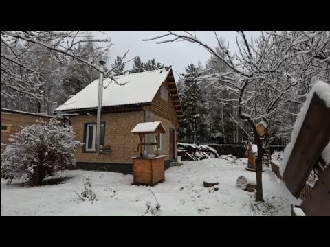 Видео: ПЕРЕЕХАЛ НА ХУТОР  ЗИМОЙ ГАЗА НЕТ, ТОПЛЮ ДРОВАМИ #ЧЕРНИЧНЫЙ ХУТОР моя мечта #АНТОХА 