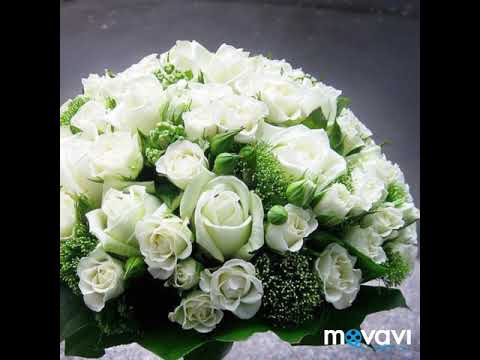 Видео: Василий Кудухти