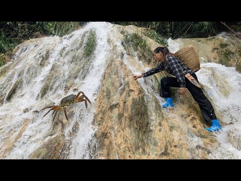 Видео: Элли Триеу отправилась на гору, чтобы ловить каменных крабов, готовить еду и жить в гармонии с приро