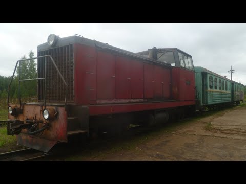 Видео: Геокэшинг в Кирово-Чепецке. Каринская УЖД.