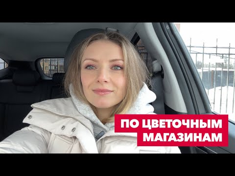 Видео: Обзор комнатных растений в ОБИ, Город цветов, Флорина » Декабрь 2024