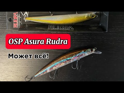 Видео: Воблер Рудра. Всё, что нужно знать.
