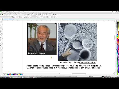 Видео: Онкологика - Грибковый след проблемы (23.11.2024)