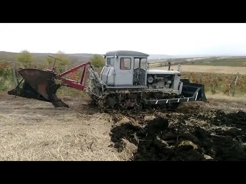 Видео: Легендарные тракторы Т-74 пашут! Legendary T-74 tractors plow