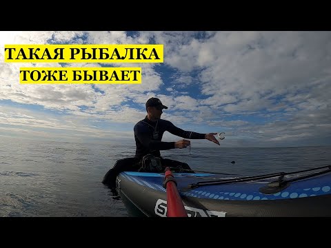 Видео: Такая рыбалка тоже бывает. Морская рыбалка с сапа на джиг.