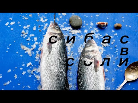 Видео: Как Приготовить Сибаса В Соли | Как Выбрать Рыбу