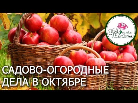 Видео: ШПАРГАЛКА САДОВО ОГОРОДНЫХ ДЕЛ НА ОКТЯБРЬ