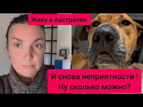Видео: Живу в Австралии 🇦🇺🇺🇦 Снова неприятности . Неужели нас обманули ?! Сколько можно?! #австралия 