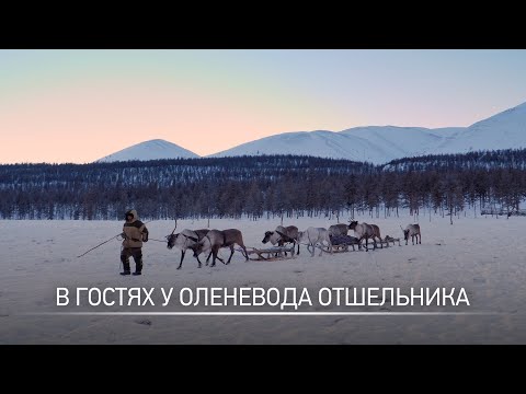 Видео: Экспедиция в Якутию часть 2 / В гостях у оленевода эвена / Эвено-Бытантайский район