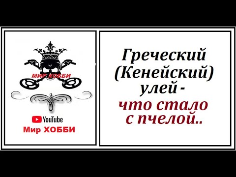 Видео: ГРЕЧЕСКИЙ улей. Всё лето не заглядывал. Что стало с пчелой