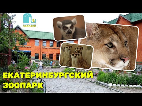 Видео: ЕКАТЕРИНБУРГСКИЙ ЗООПАРК / что можно посмотреть? /январь 2025г / 4К