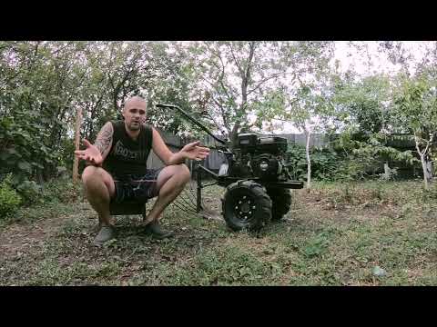 Видео: УБОРКА УРОЖАЯ КАРТОФЕЛЯ ЛЕГКИМ МОТОБЛОКОМ 2025!!! 