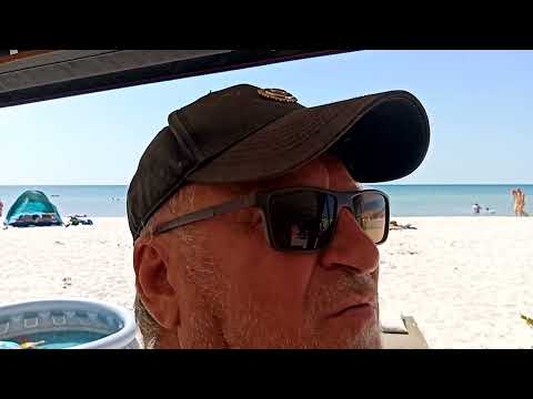 Видео: Чёрное море,медузы,комары,мухи,насекомые,рыбка и криветки.