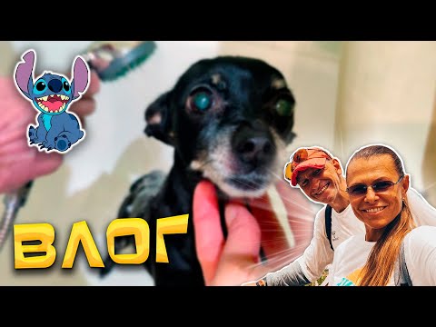 Видео: ВЛОГ: ПОКУПКИ Fix Price и Wildberries/ БЛИНЧИКИ на кипятке (рецепт ОГОНЬ🔥 )/ ПОКУПКИ для здоровья.