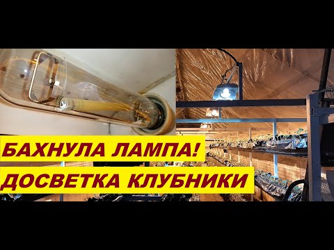 Видео: ДОСВЕТКА ЛАМПАМИ ДНАЗ КЛУБНИКИ🍓//ХЛОПНУЛА ЛАМПА//ДОРАБОТКА И ОБЗОР СВЕТИЛЬНИКОВ//ИЗМЕРЕНИЕ ЛЮКСОВ💡
