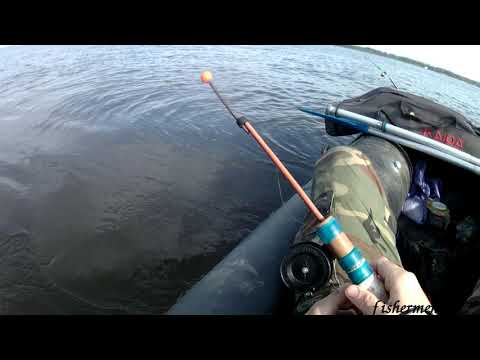 Видео: ЛОВЛЯ ЧЕХОНИ С ЛОДКИ НА ВОЛГЕ