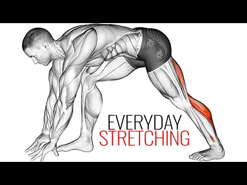 Видео: Упражнения на Растяжку для Начинающих в Доомашних Условиях