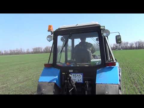 Видео: Подкормка озимой пшеницы аммиачной селитрой сеялкой.