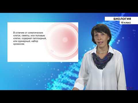 Видео: 10 класс - РУ - Биология - №2 - Клетка- структурная и функциональная единица живого