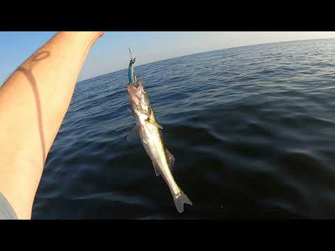 Видео: Ловля судака на финском заливе район Ушково. Новый комплект RiverBoats RB — 300(НДНД) и Yamaha 2л.с.