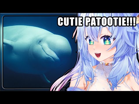 Видео: МЫ ИХ НЕ ЗАСЛУЖИВАЕМ, ЧТО ЗА ЧЁРТ!!! | Реакция Мифую на Casual Geographi