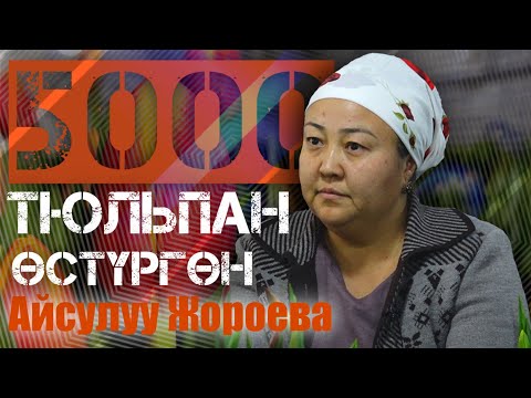 Видео: Тюльпан гүлүн Баткенге жайылткан ишкер