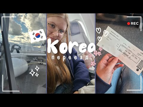 Видео: Переехала одна в Корею? перелет и первые дни в Сеуле, университет Корё