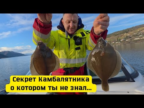 Видео: Лучший способ ловли Камбалы, ты такого не видел 😁 The Best Way to Catch Flounder  You’ve Never Seen 