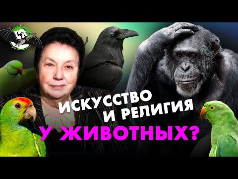 Видео: Мыслят ли животные? Зоя Зорина. Ученые против мифов 12-12