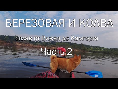 Видео: Березовая и Колва. Сплав от Вижая до Камгорта. Часть 2.