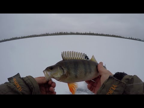 Видео: Я его нашёл!!! Не верил в это место, а зря!