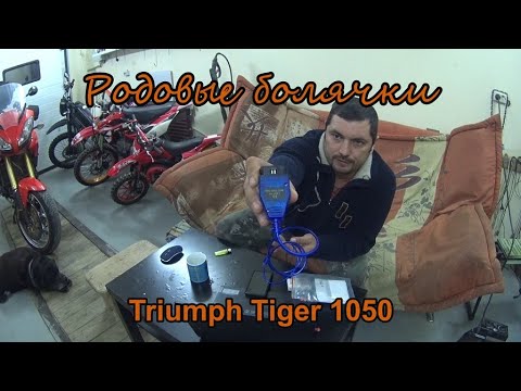 Видео: Родовые болячки и особенности Triumph Tiger 1050