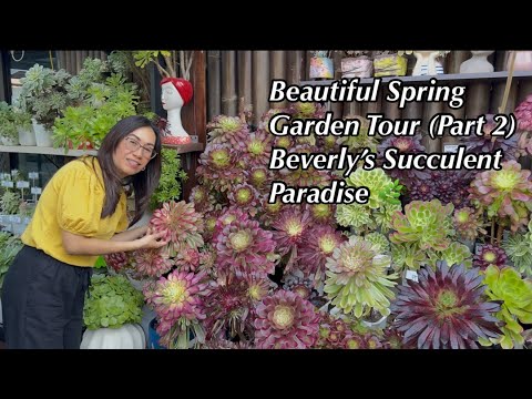Видео: Возвращаемся в сад Беверли! | Часть 2 нашего весеннего тура по саду 🍀🌿