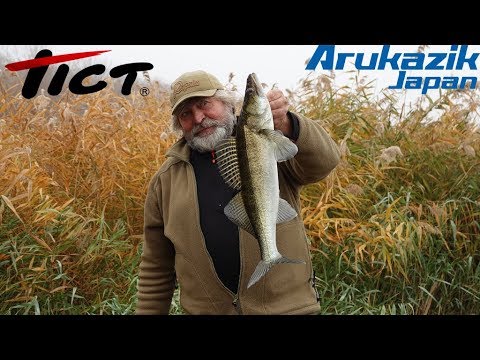 Видео: Ловля судака. Трофей в тумане + КОНКУРС!