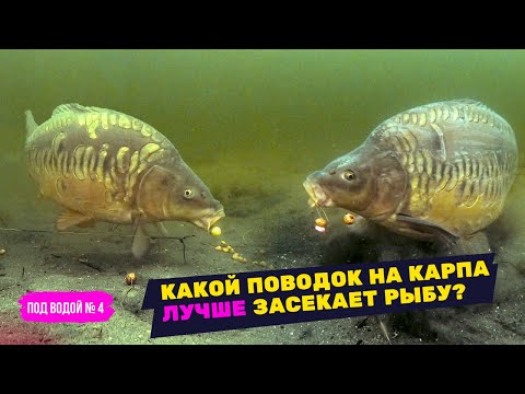 Видео: ПРОВЕРКА КАРПОВЫХ ПОВОДКОВ с ПОДВОДНОЙ КАМЕРОЙ! Какой монтаж лучше засекает рыбу? под водой 4