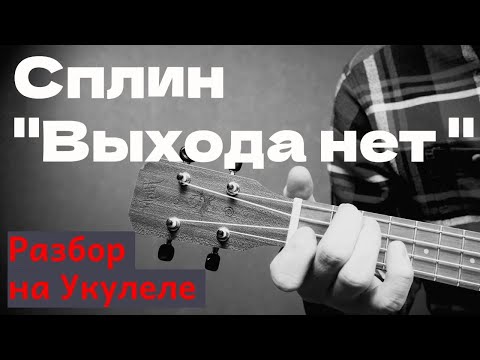 Видео: Сплин "Выхода нет" точные аккорды на укулеле (+бой для новичков)