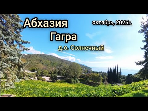 Видео: Абхазия! Гагра! д.о. Солнечный! Отдых в октябре! Народу нет, а плавать и загорать еще можно!